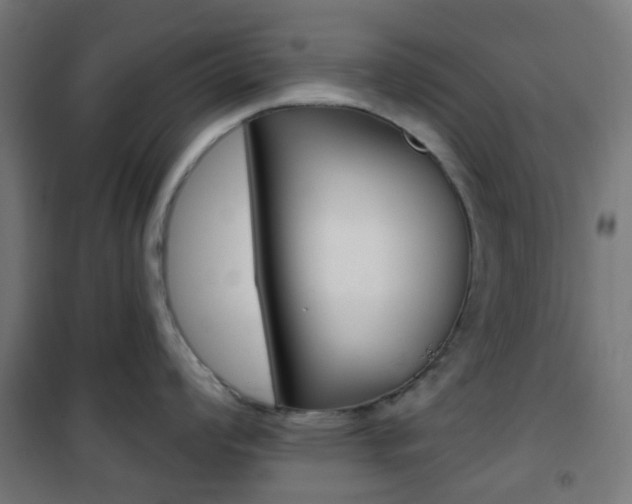 X0000101401008200807071025