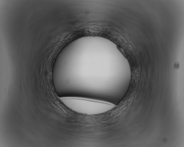 X0000101401009200807071024