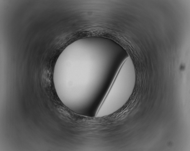 X0000101401010200807071024
