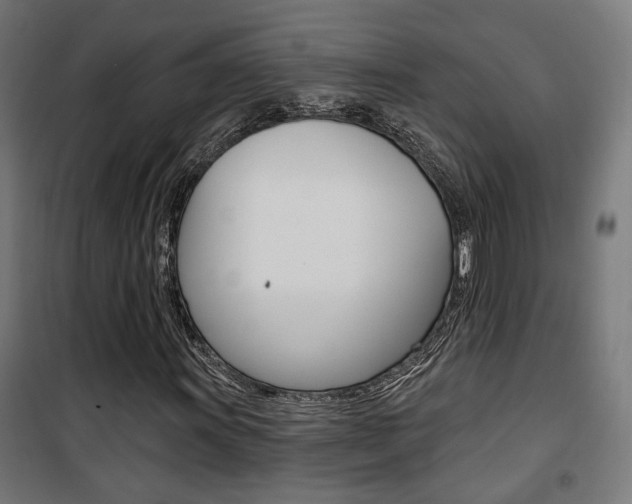 X0000101401011200807071024