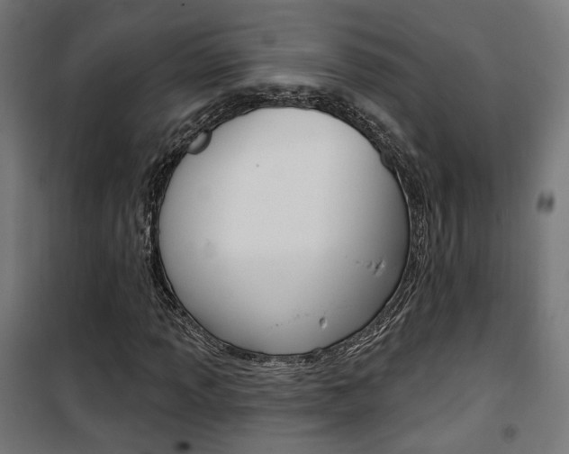 X0000101401013200807071024
