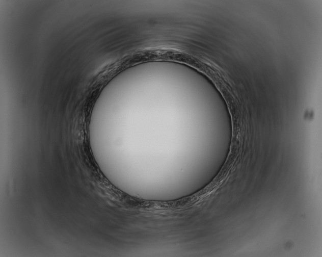 X0000101401014200807071024