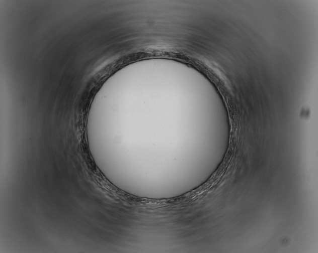 X0000101401015200807071024