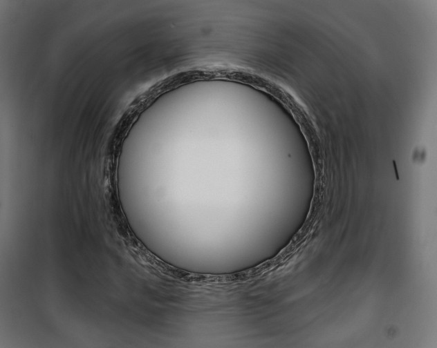 X0000101401016200807071024