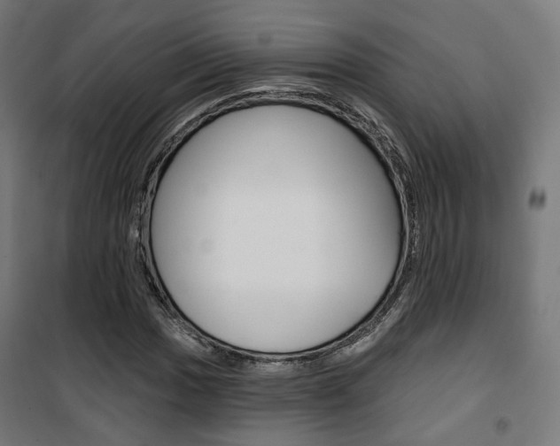 X0000101401017200807071024