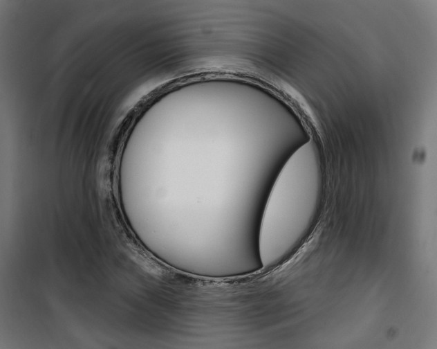 X0000101401019200807071024