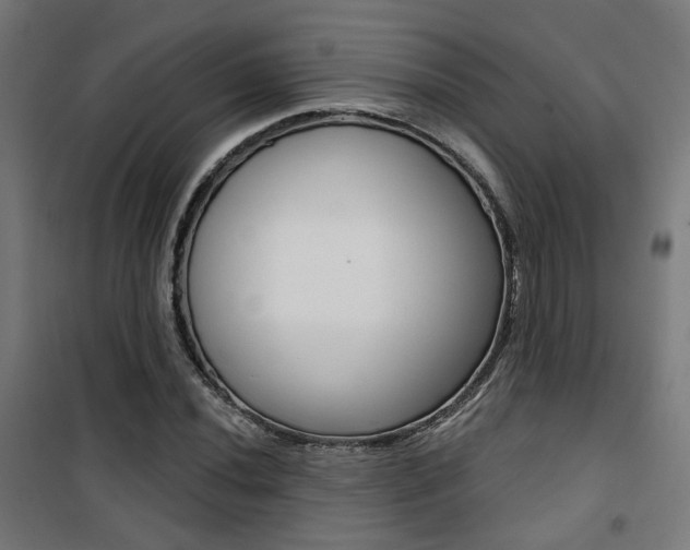 X0000101401020200807071024