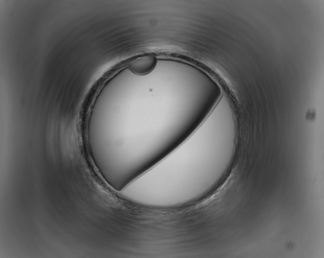 X0000101401022200807071024