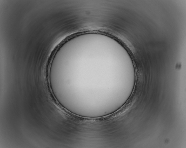 X0000101401023200807071024