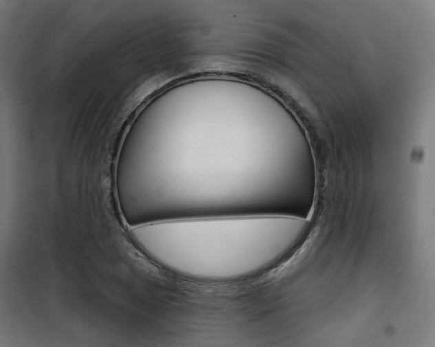 X0000101401025200807071024