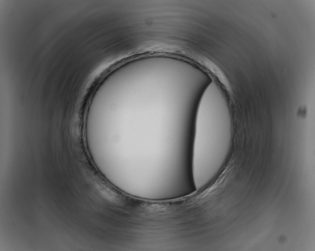 X0000101401027200807071024