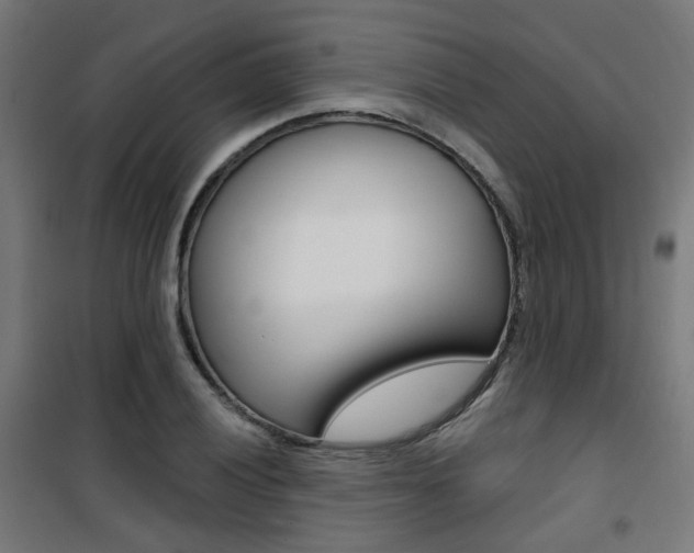 X0000101401028200807071024