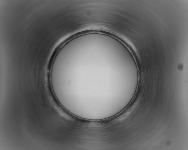 X0000101401029200807071024