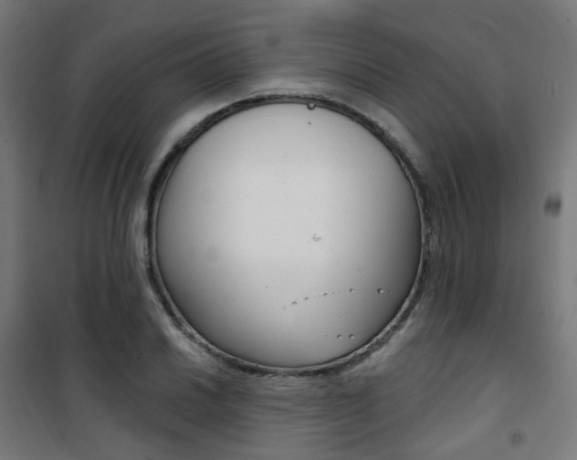 X0000101401030200807071024