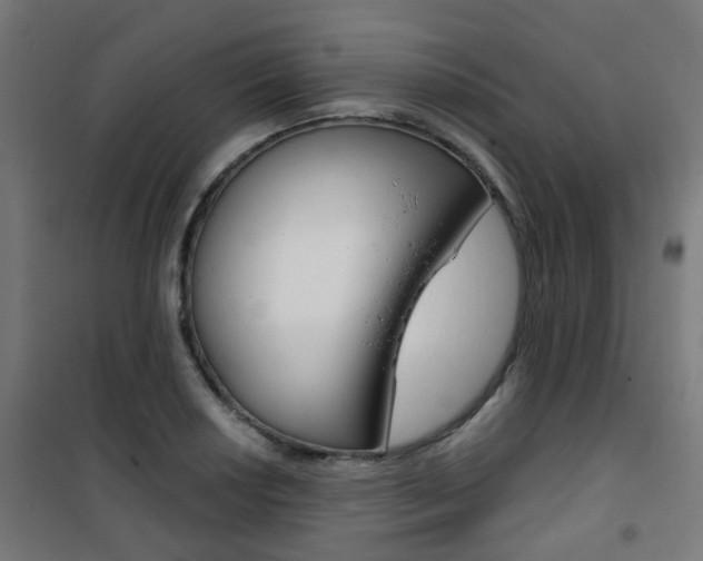 X0000101401034200807071024