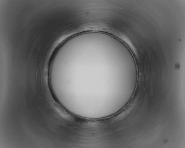 X0000101401035200807071024