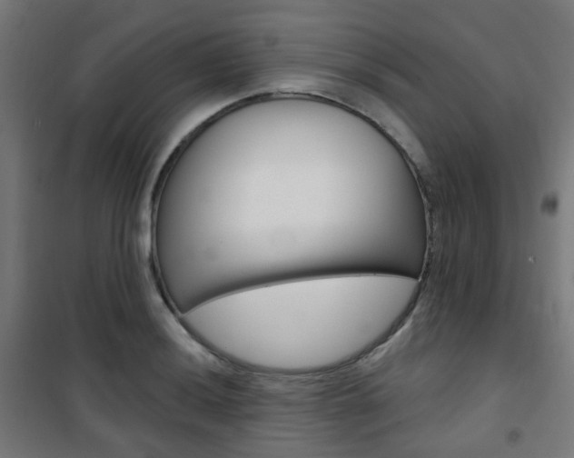 X0000101401036200807071024