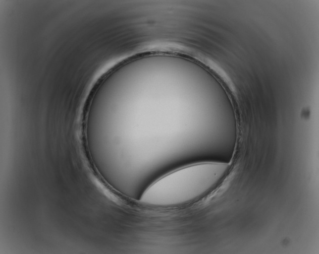 X0000101401037200807071024