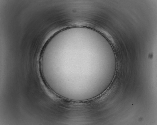 X0000101401039200807071025