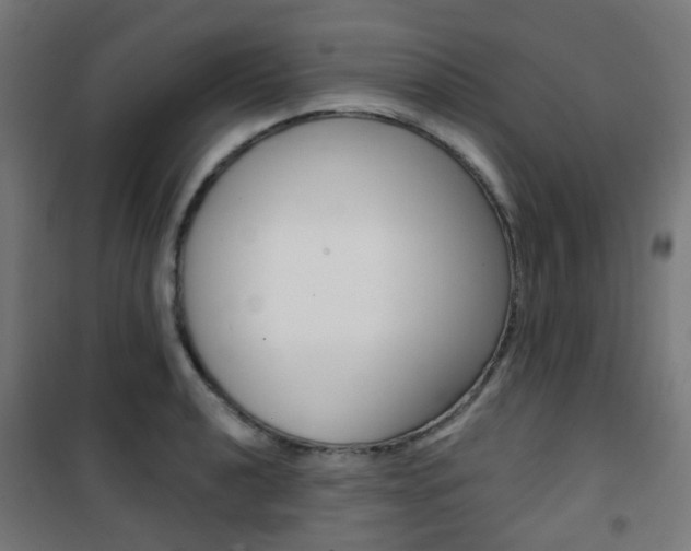 X0000101401040200807071025