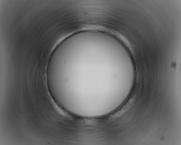 X0000101401041200807071025