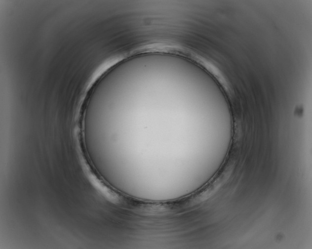 X0000101401042200807071025