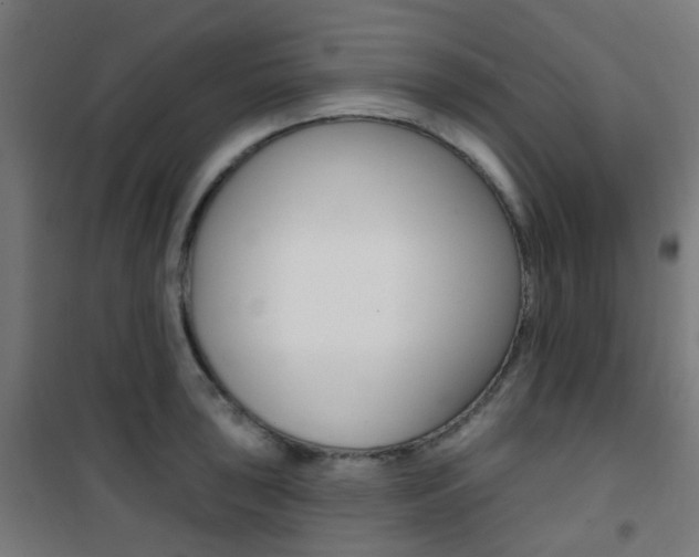 X0000101401043200807071025