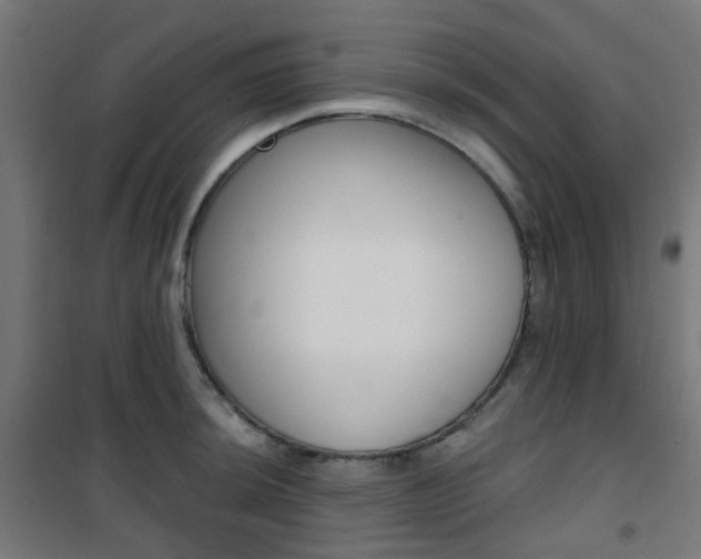 X0000101401044200807071025