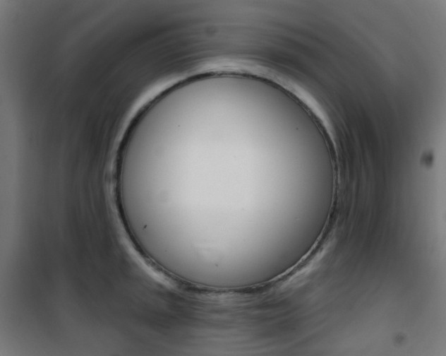 X0000101401045200807071025
