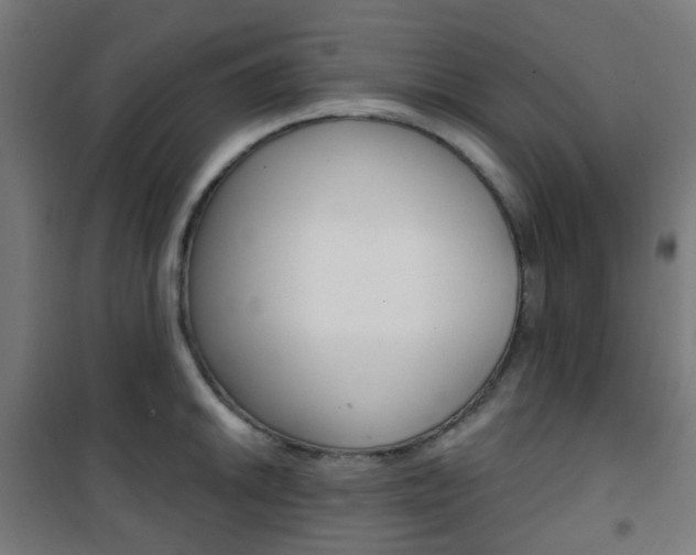 X0000101401046200807071025