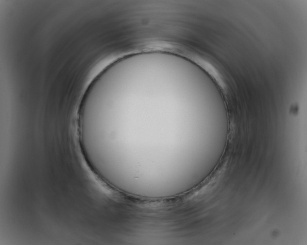 X0000101401047200807071025