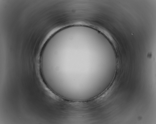 X0000101401048200807071025