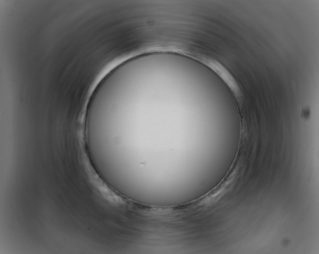 X0000101401052200807071025