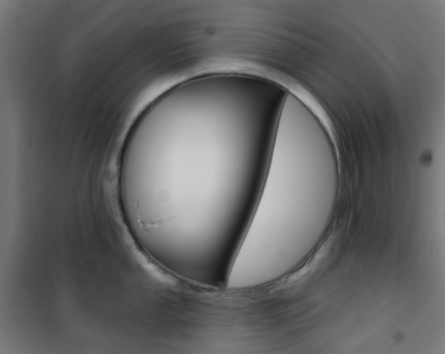 X0000101401053200807071025