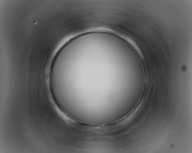 X0000101401054200807071025