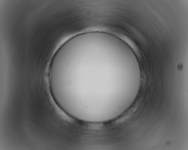 X0000101401055200807071025