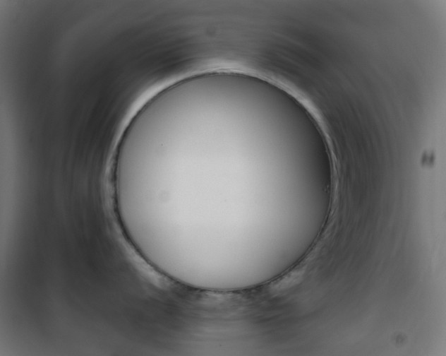 X0000101401056200807071025