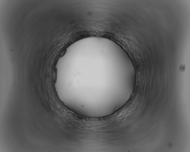 X0000101401057200807071024