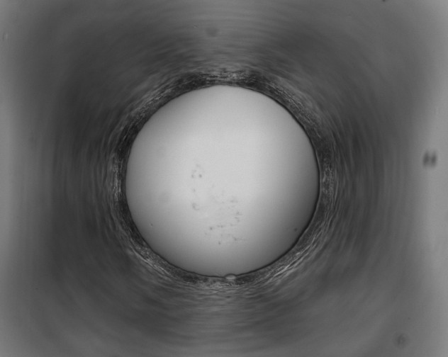 X0000101401058200807071024