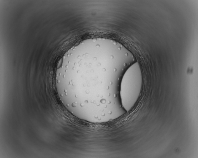 X0000101401059200807071024