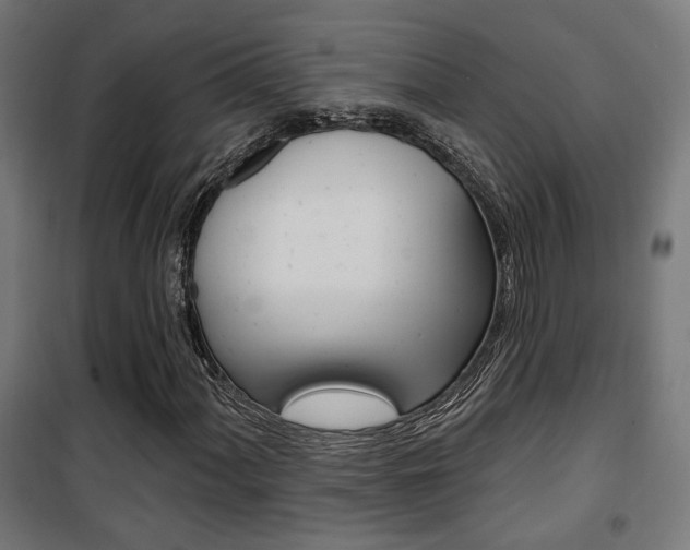 X0000101401060200807071024