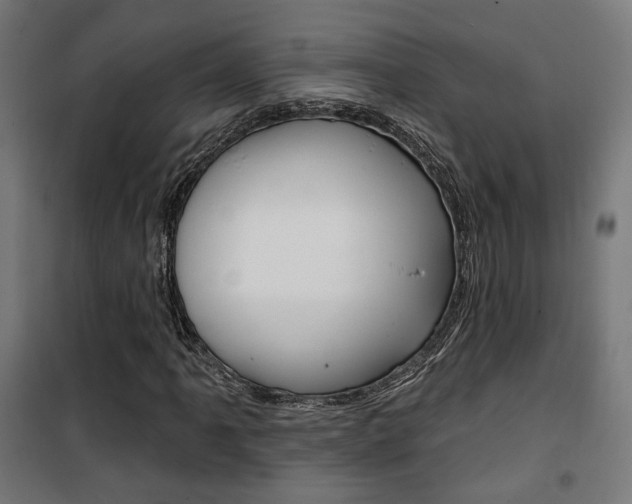 X0000101401061200807071024