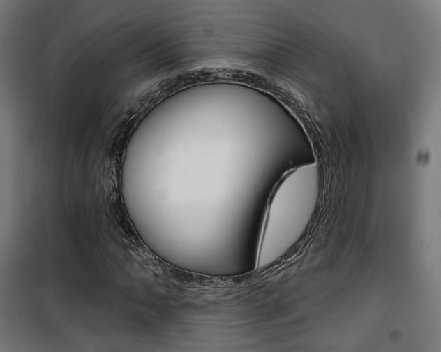 X0000101401062200807071024