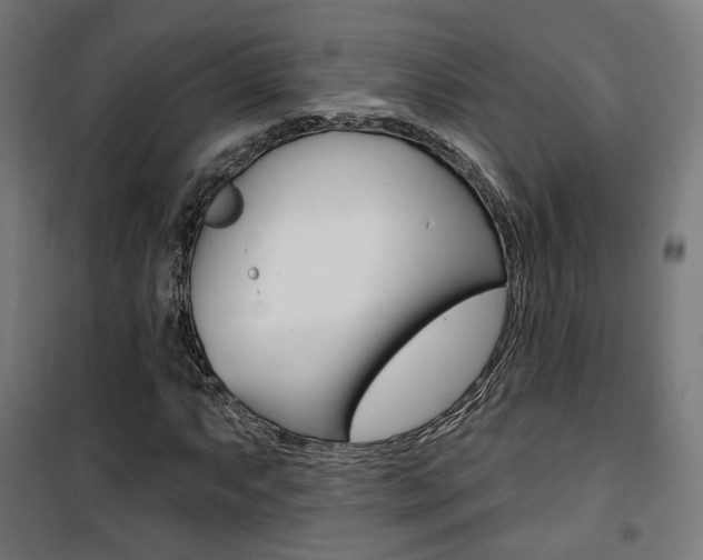 X0000101401063200807071024