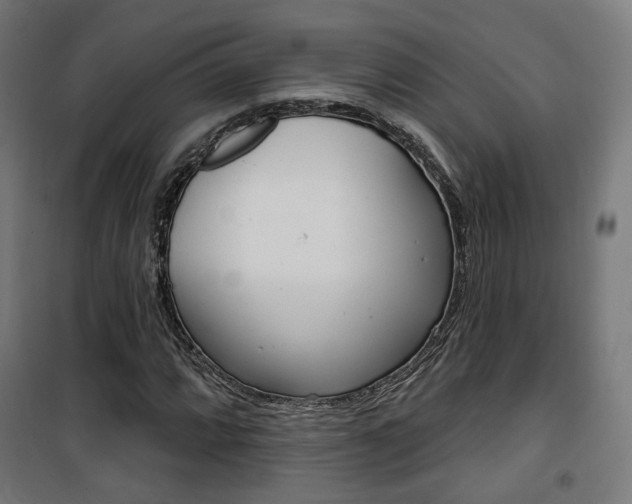 X0000101401064200807071024