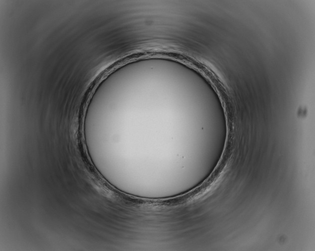 X0000101401065200807071024