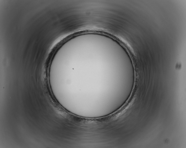 X0000101401070200807071024