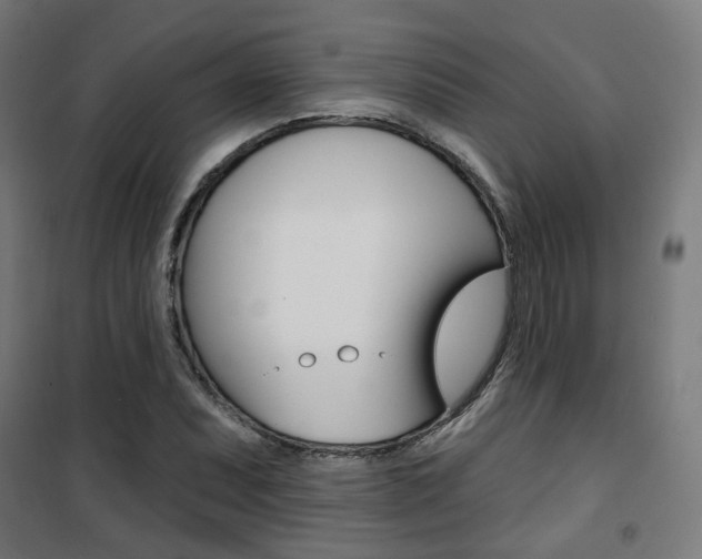 X0000101401071200807071024