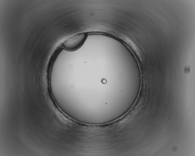 X0000101401072200807071024