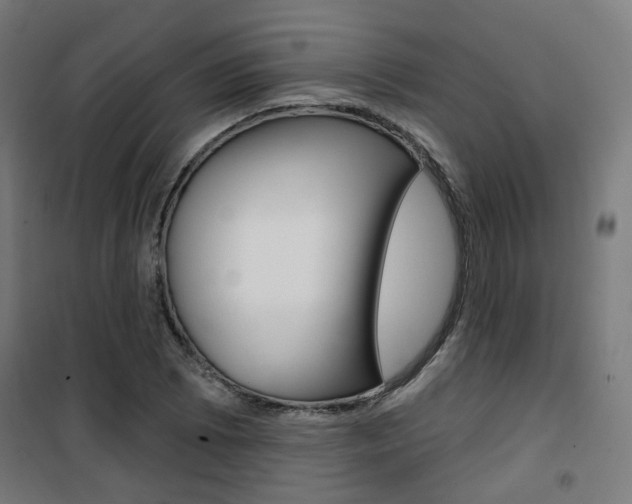 X0000101401073200807071024